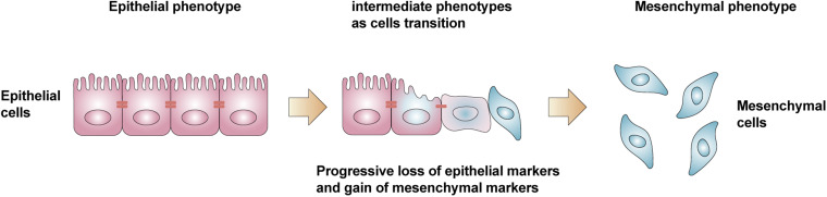 Figure 1.