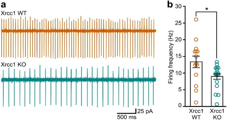 Extended Data Figure 9