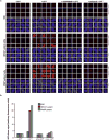 Extended Data Figure 7