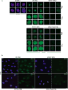 Extended Data Figure 3