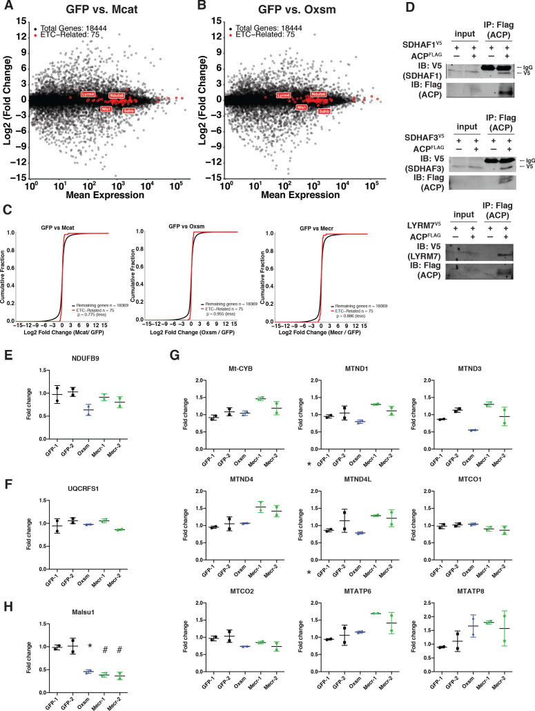 Figure 3—figure supplement 1.