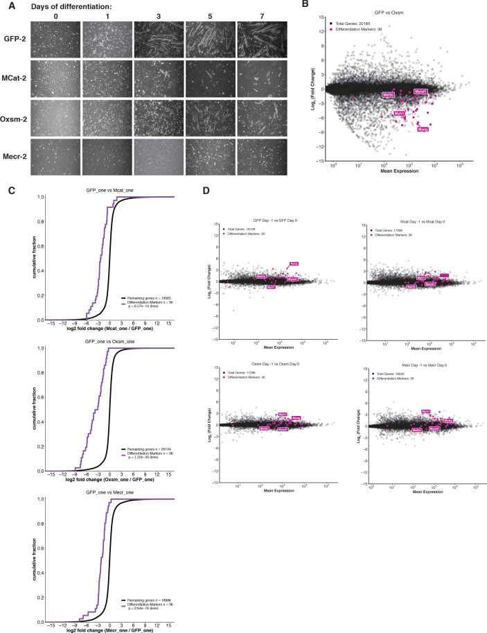 Figure 6—figure supplement 1.