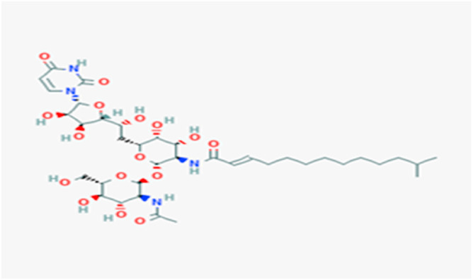 Fig. 1