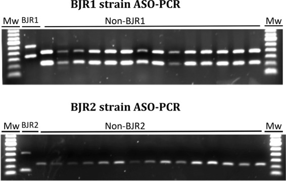 FIG 3