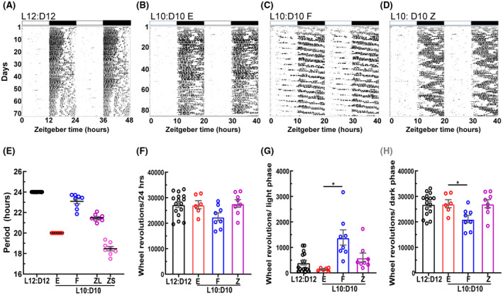 FIGURE 1