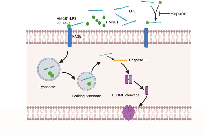 Figure 2