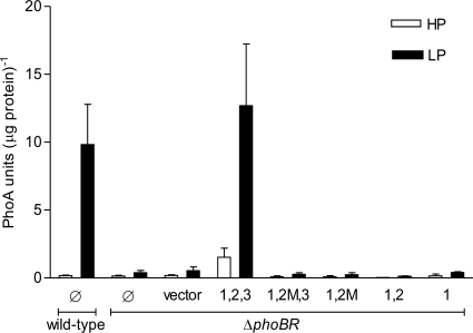 Fig. 6.