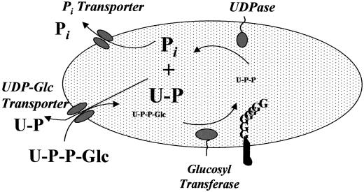 Figure 9