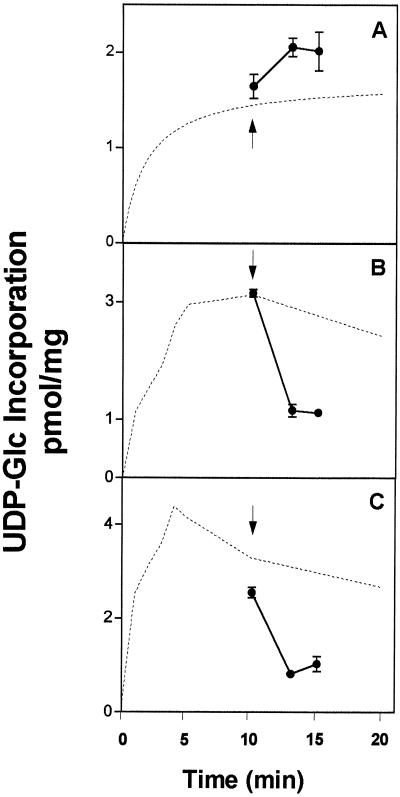 Figure 8