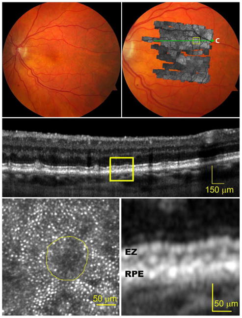 Figure 2