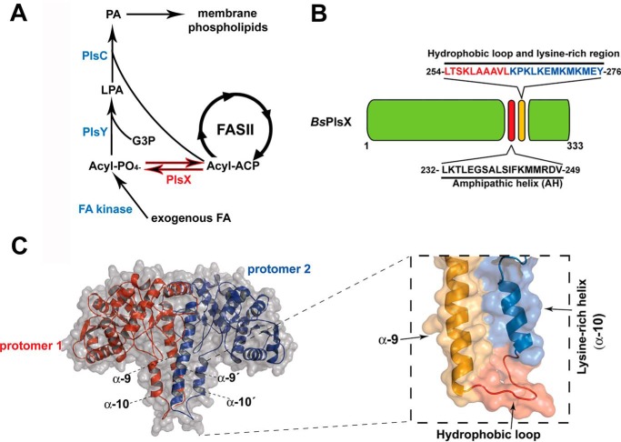 Figure 1.