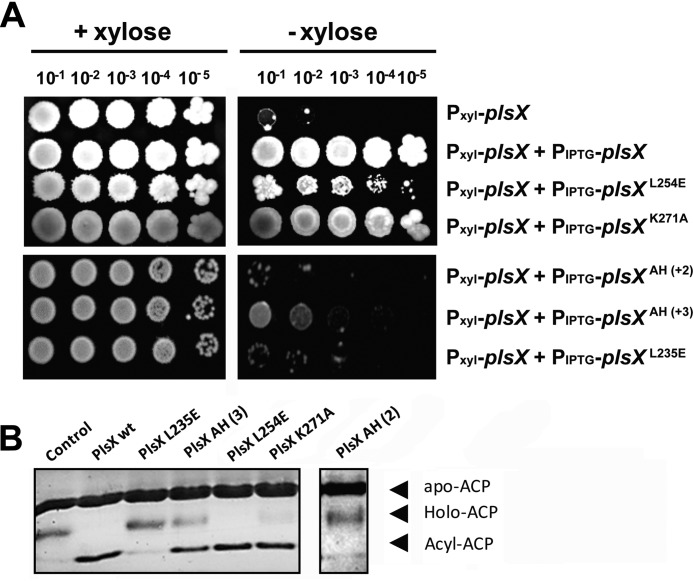 Figure 4.