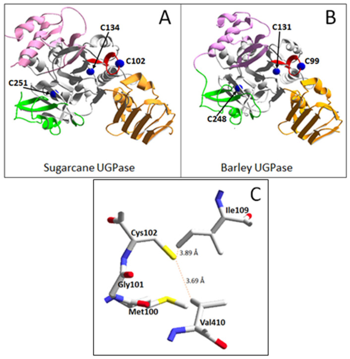 Figure 6