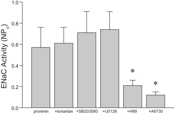 Fig. 10.