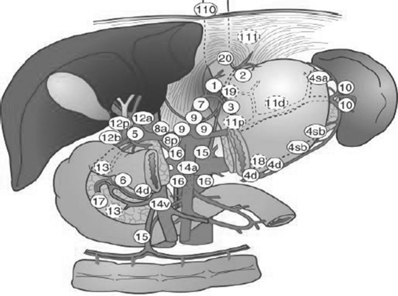 Fig. 1