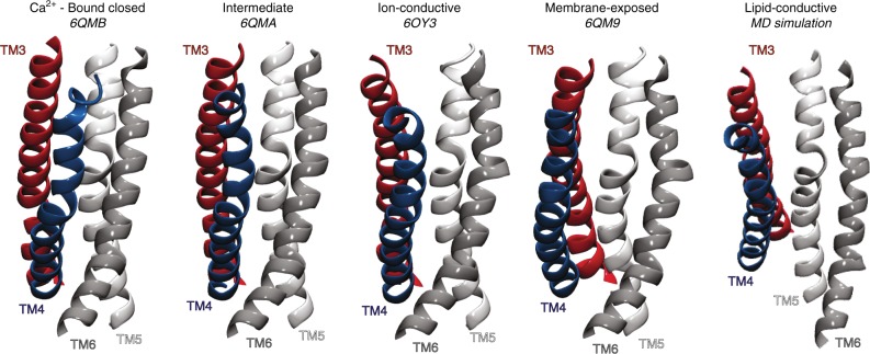 Fig. 10