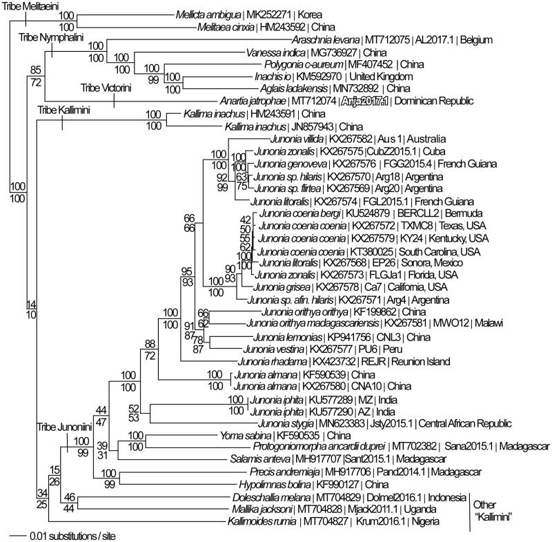 Figure 1.