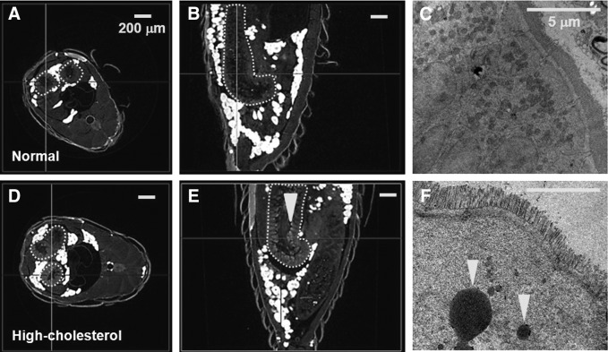 FIG. 6.