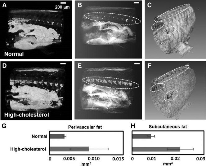 FIG. 7.