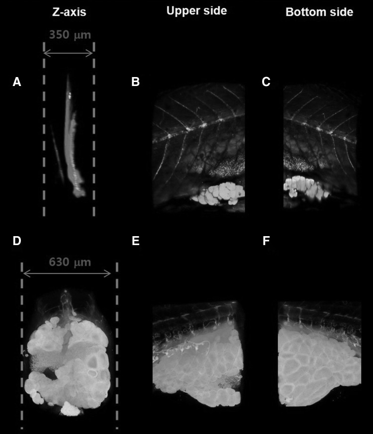 FIG. 3.