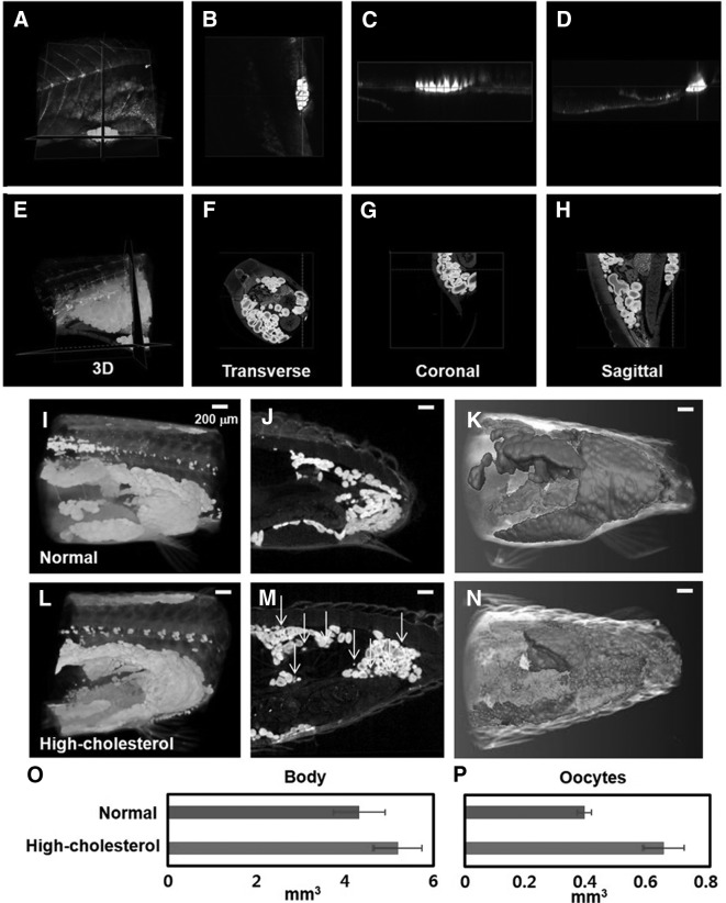 FIG. 4.