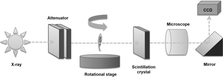 FIG. 2.