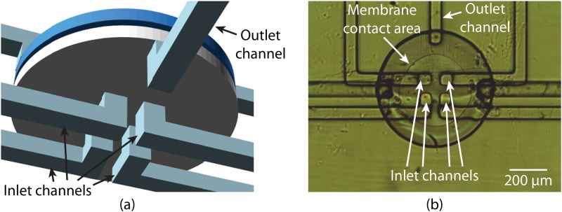 FIG. 7.