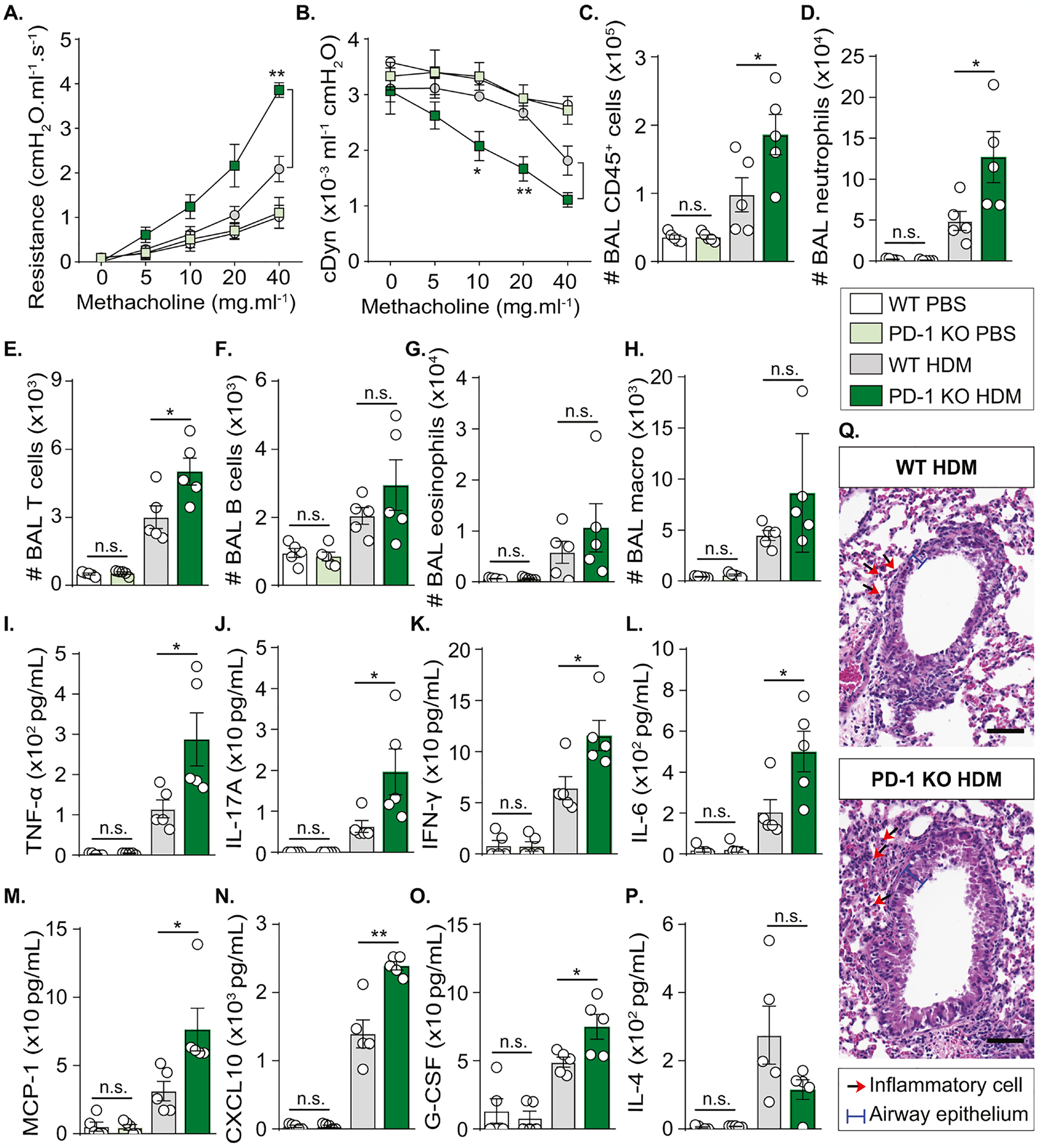 Figure 2: