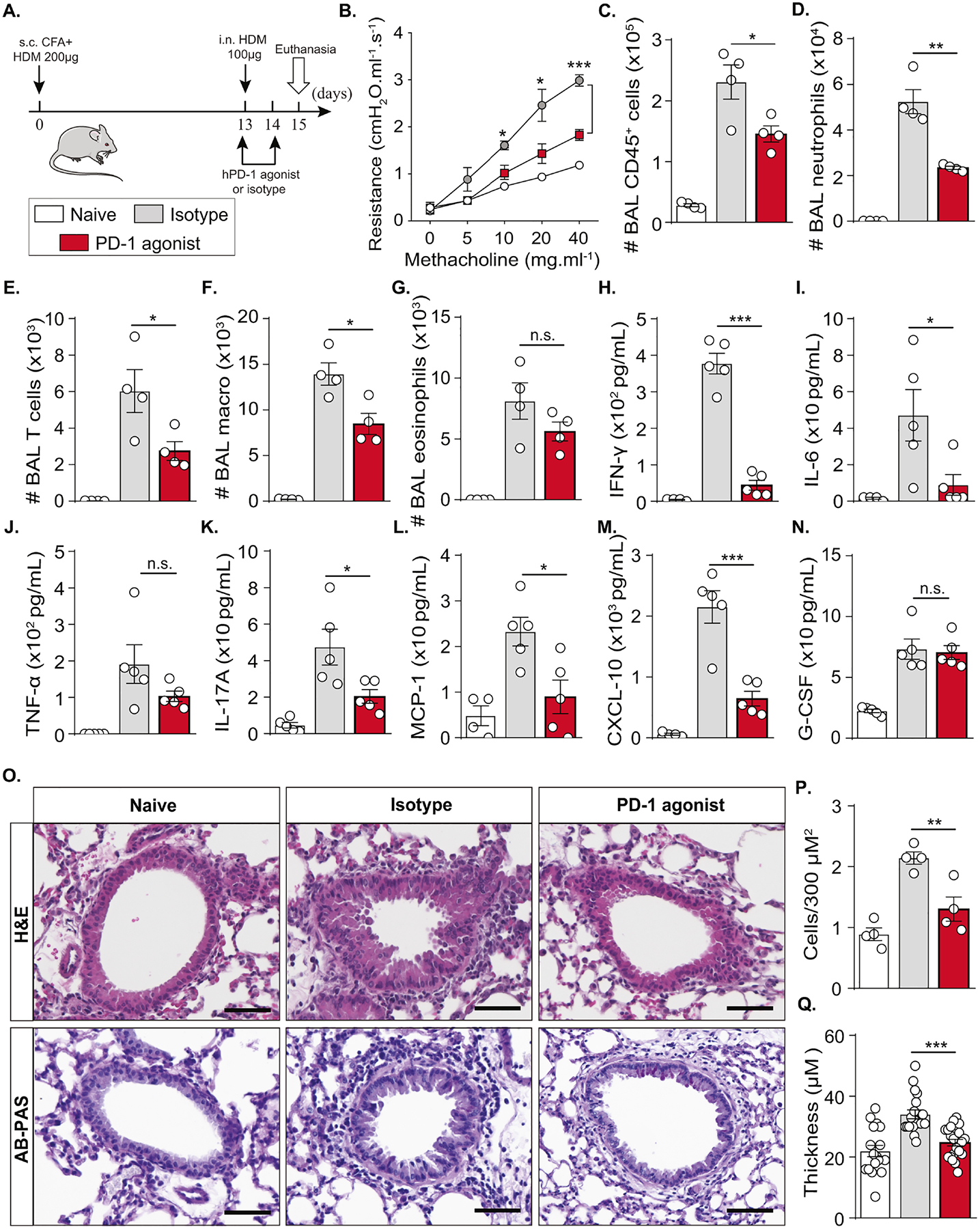 Figure 4: