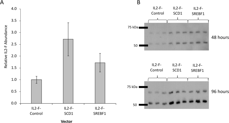 Fig. 4