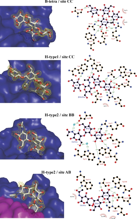 FIGURE 4.