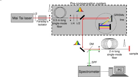 Fig. 1