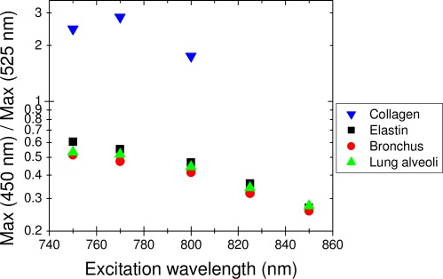 Fig. 10