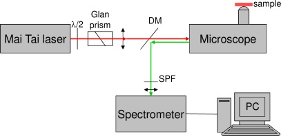 Fig. 2