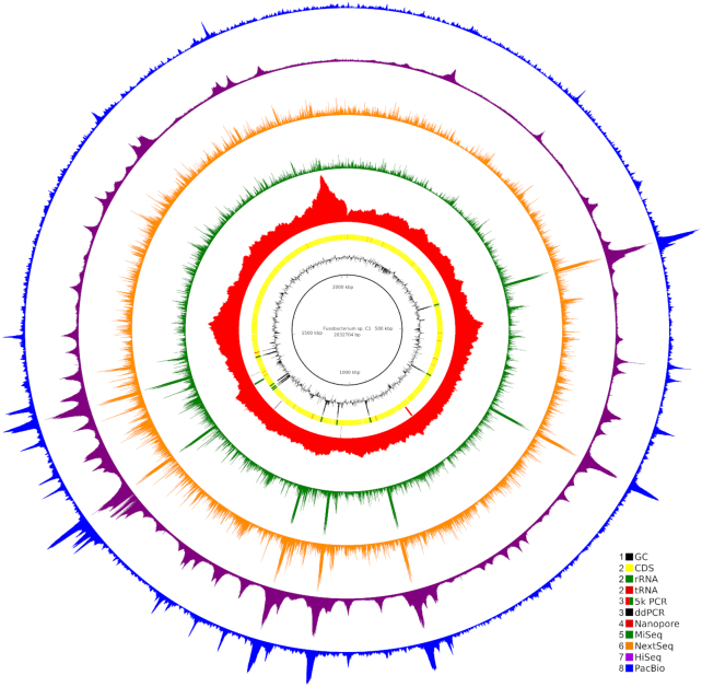 Figure 1: