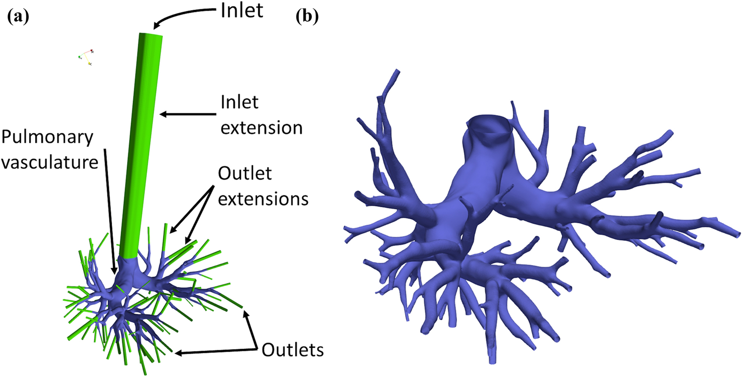 Figure 1: