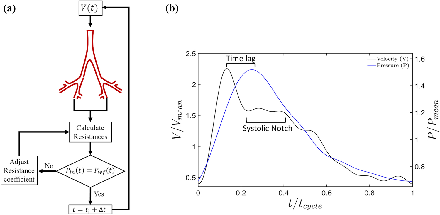 Figure 3: