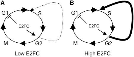 Figure 8.