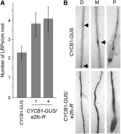 Figure 6.