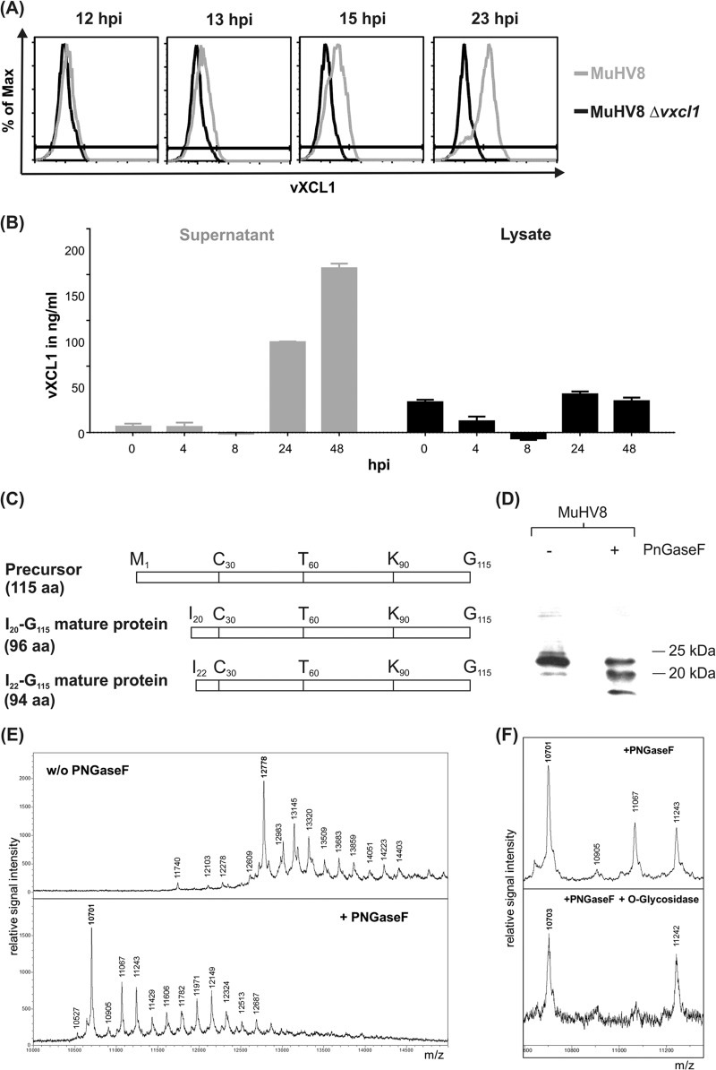 FIG 2