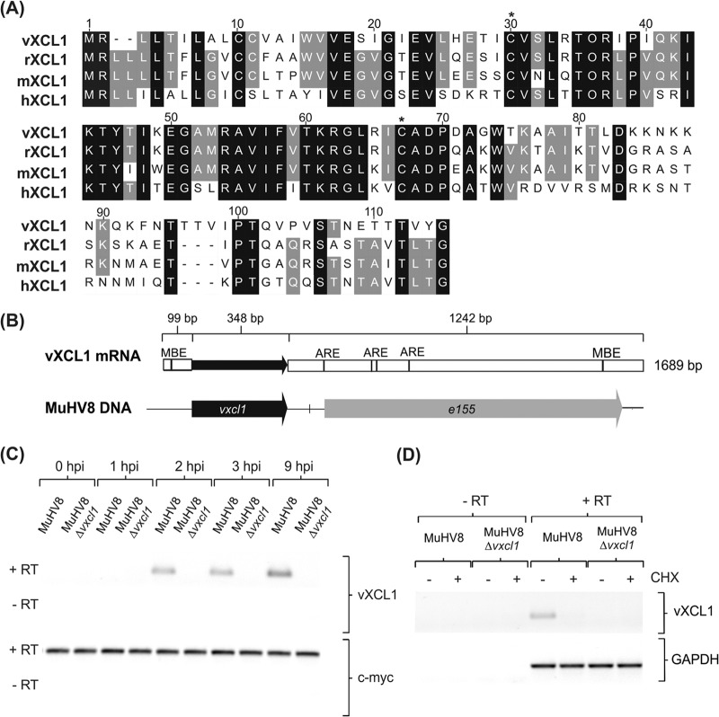 FIG 1