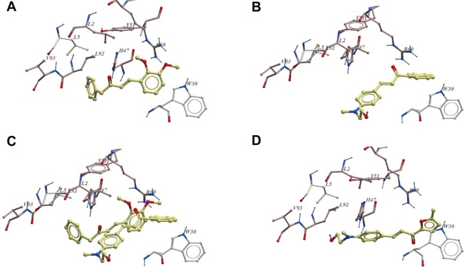 Figure 10