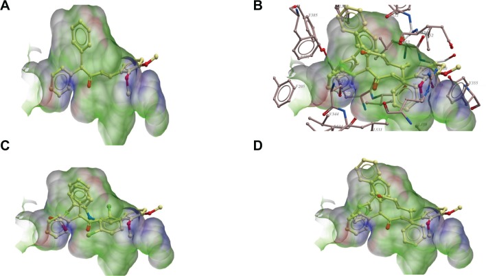 Figure 7