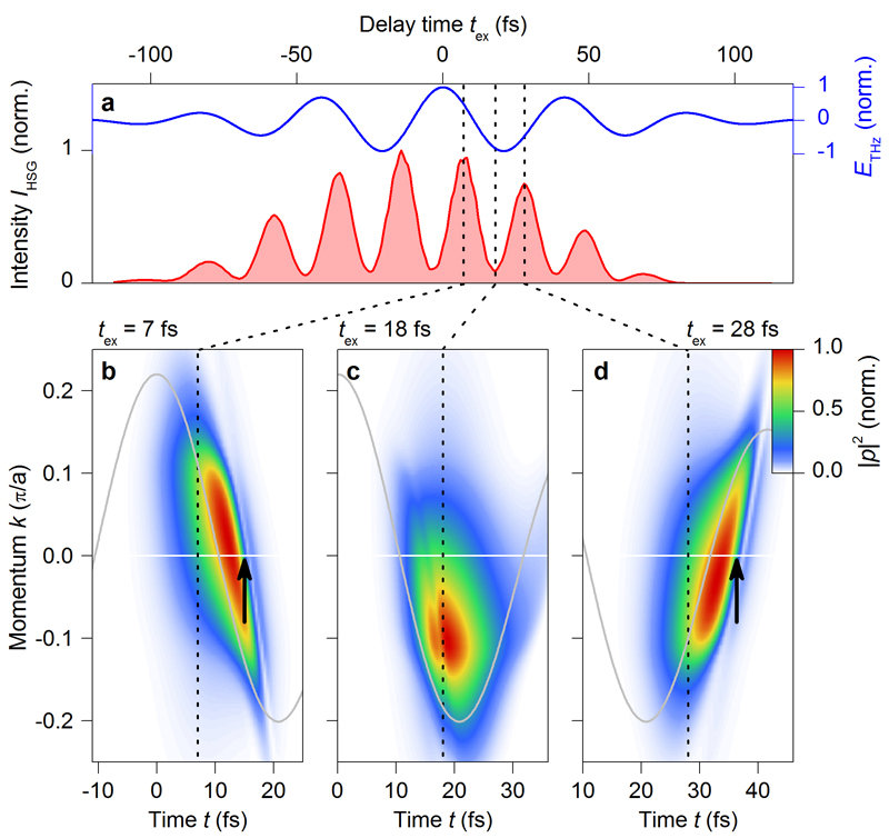 Extended data Figure 3