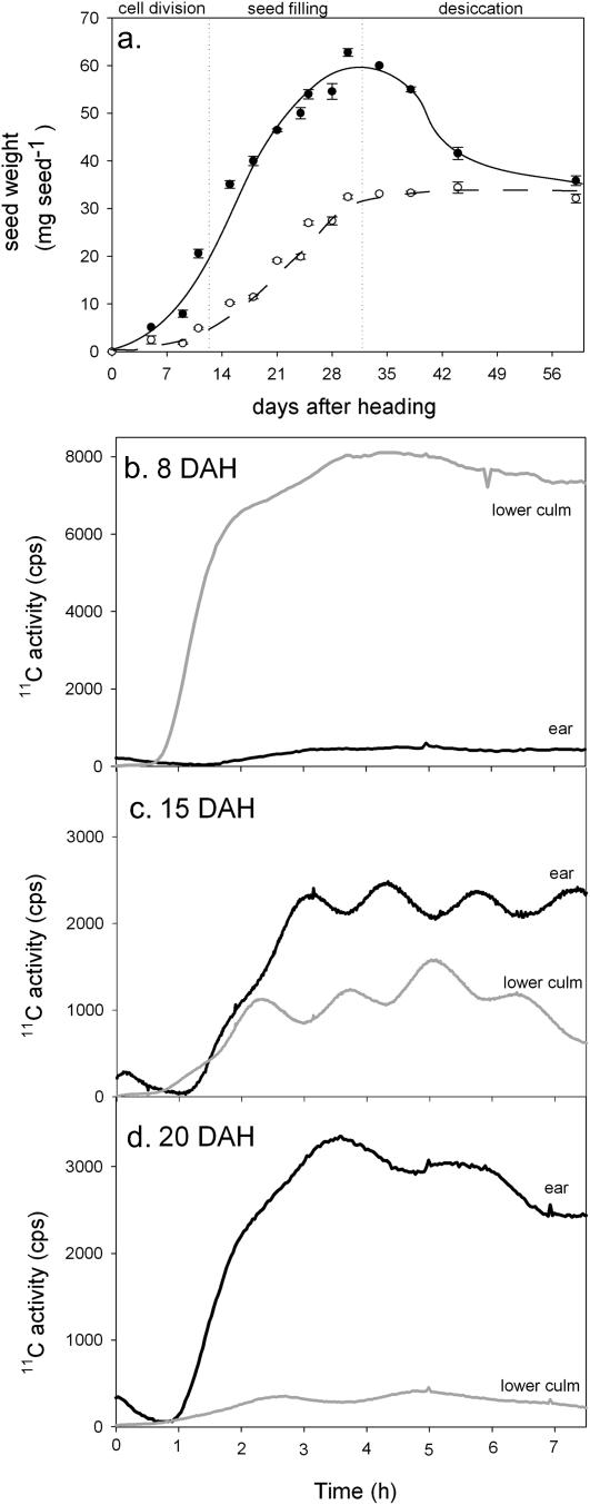 Figure 7.