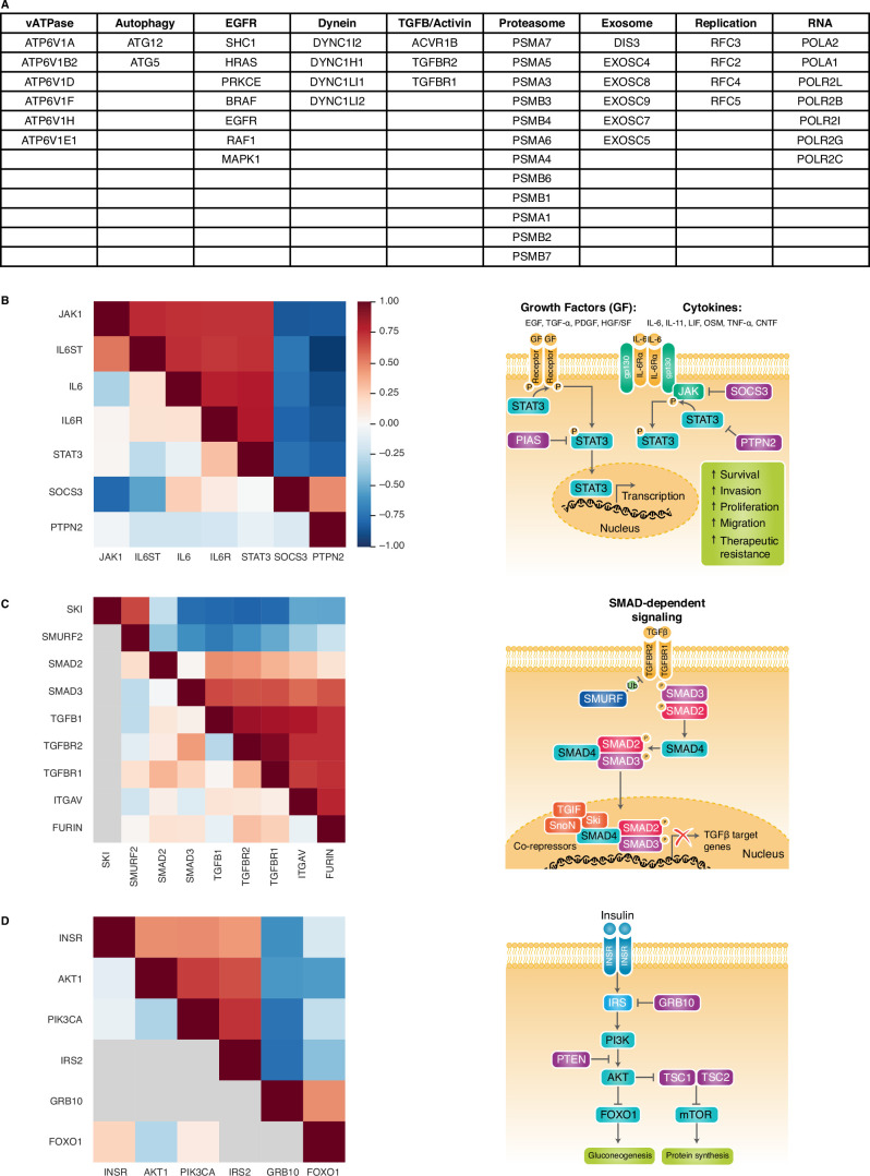 Extended Data Fig. 1