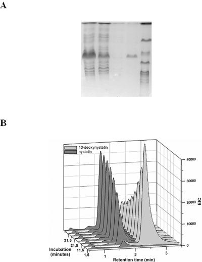 FIG. 4.