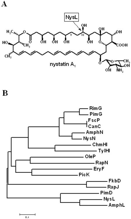 FIG. 1.