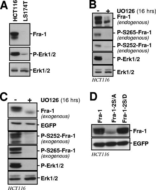 FIG. 5.