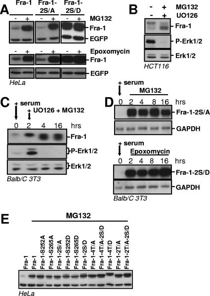 FIG. 8.